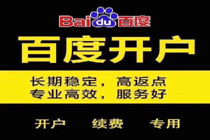 实战案例：SEM公司助力电商企业实现快速增长